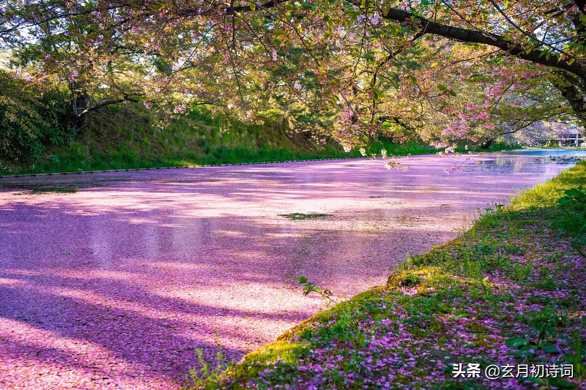 春天来心情好的句子