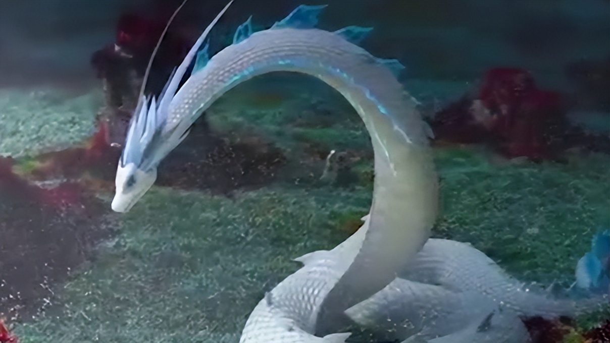 500年的大蛇真能化蛟?"长江走蛟"是咋回事?