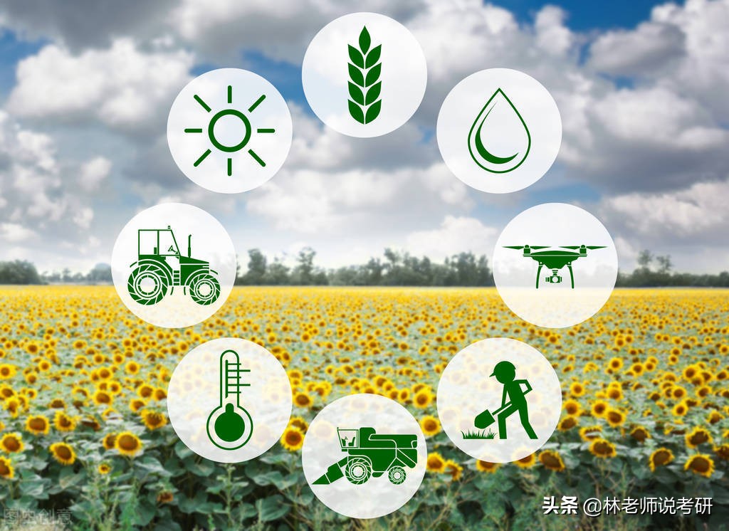 农业硕士考研择校导航：烟台大学