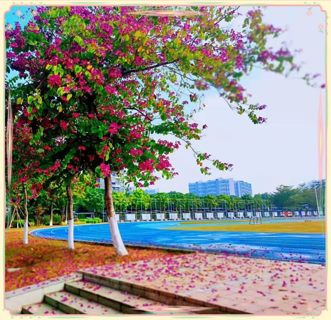 廣州市南沙第一中學(xué):未來已來 我們等你來(圖5) 廣州市南沙第一中學(xué):未來已來 我們等你來(圖5)