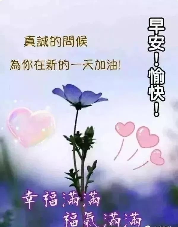 周二早上好满满正能量语录 愿山河无恙、人间永无疫图片
