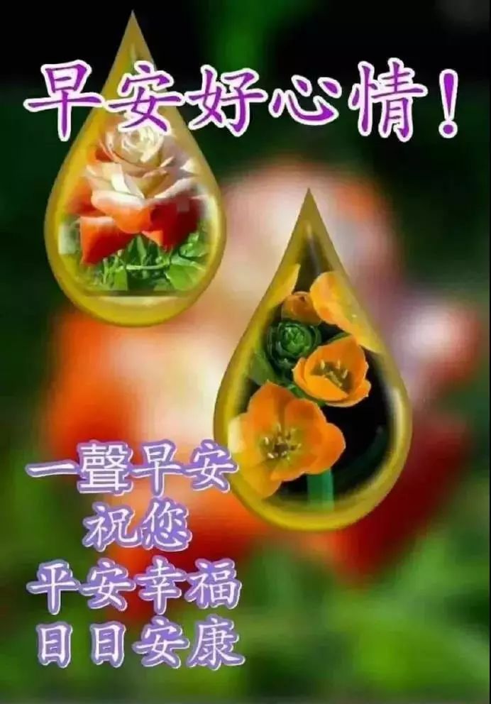 適合清晨發給親朋好友的早上好問候句子以及祝福圖片