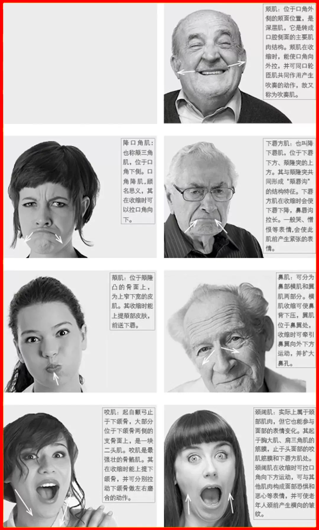 “喜、怒、哀、乐”速写人物表情解析,太详细了