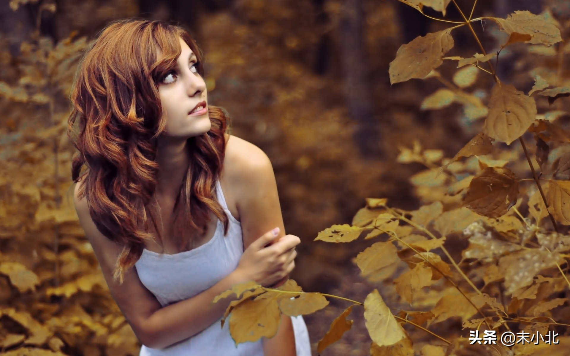 心不在你身上的人，就算了吧