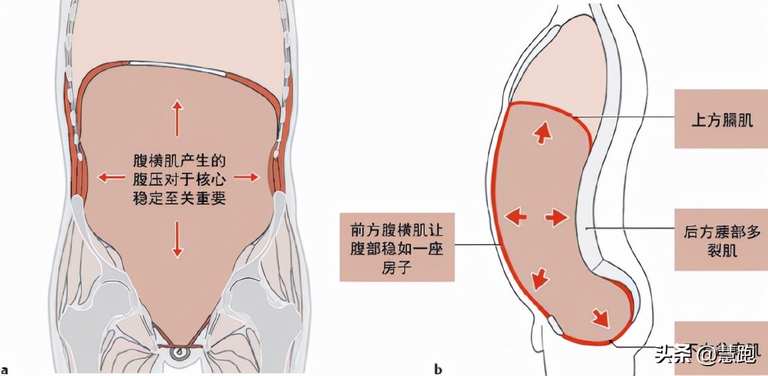 奥运会参赛选手训练多久(苏炳添获得奥运铜牌创造历史：揭秘科学训练的方法和黑科技手段)