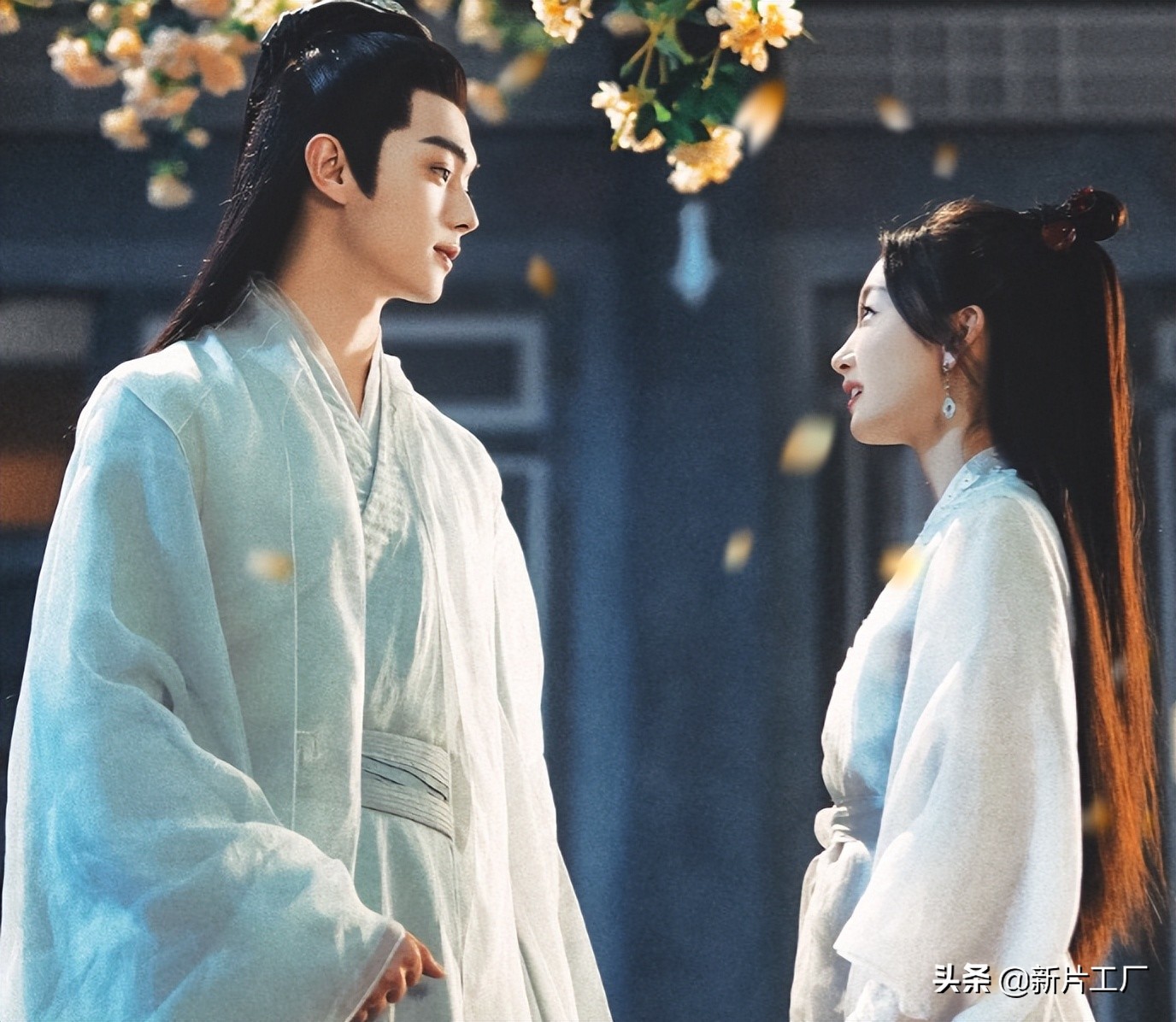 仙侠剧里的“父母爱情”，《沉香如屑》带感，《与凤行》悲惨