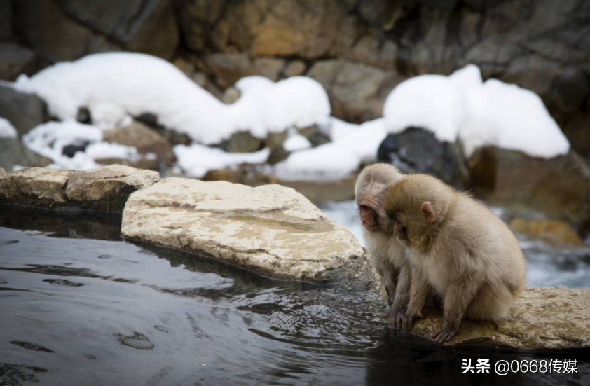 陪客松图片大全（中国十大名山详细介绍超实用）