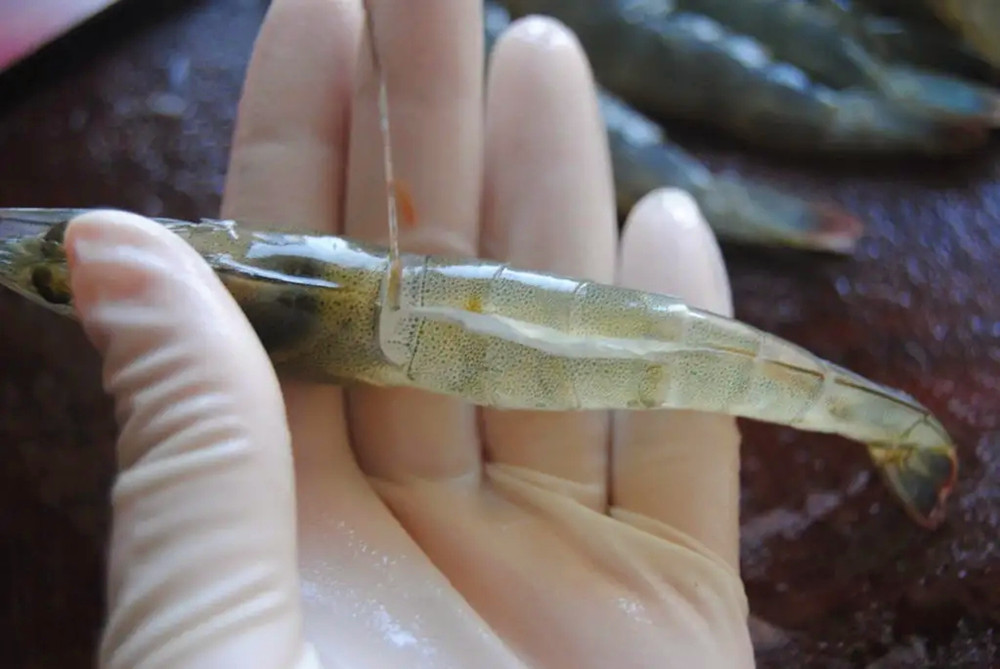 618后，用真实体验感告诉你不值得入手8件神器，千万别交智商税了