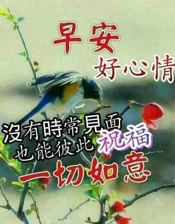 微信早上好图片大全，最好的友情，你忙你的，我忙我的，有事吱声图片