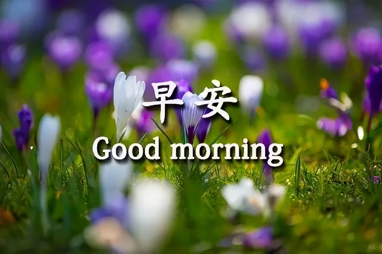 周三朋友圈唯美的早晨祝福语图片 问候是一种快乐 关心是一种幸福图片