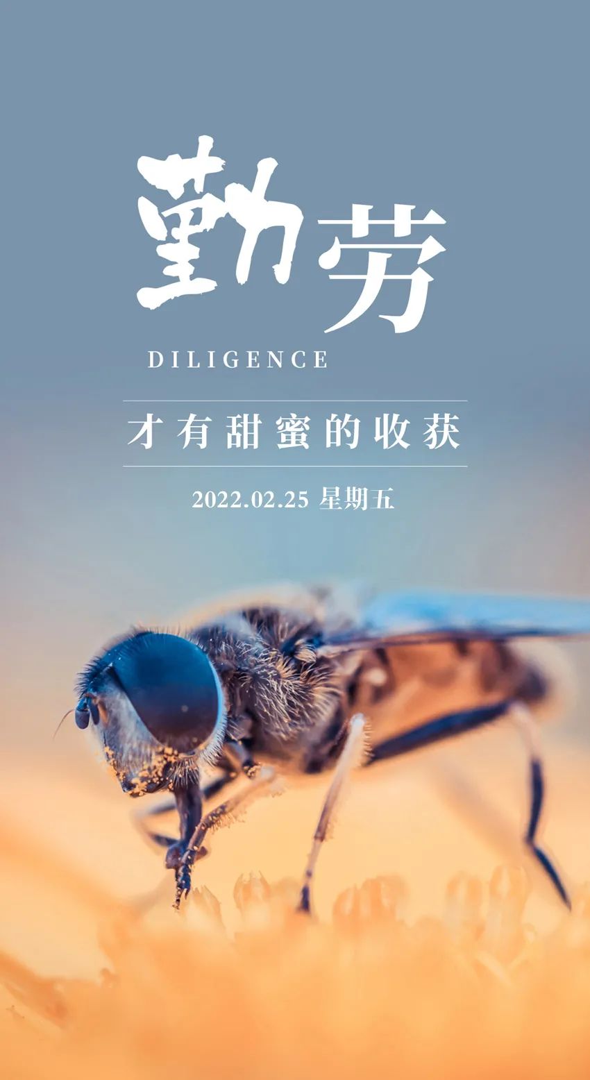 早安图文签名句子,正能能句子,开启元气满满的一天