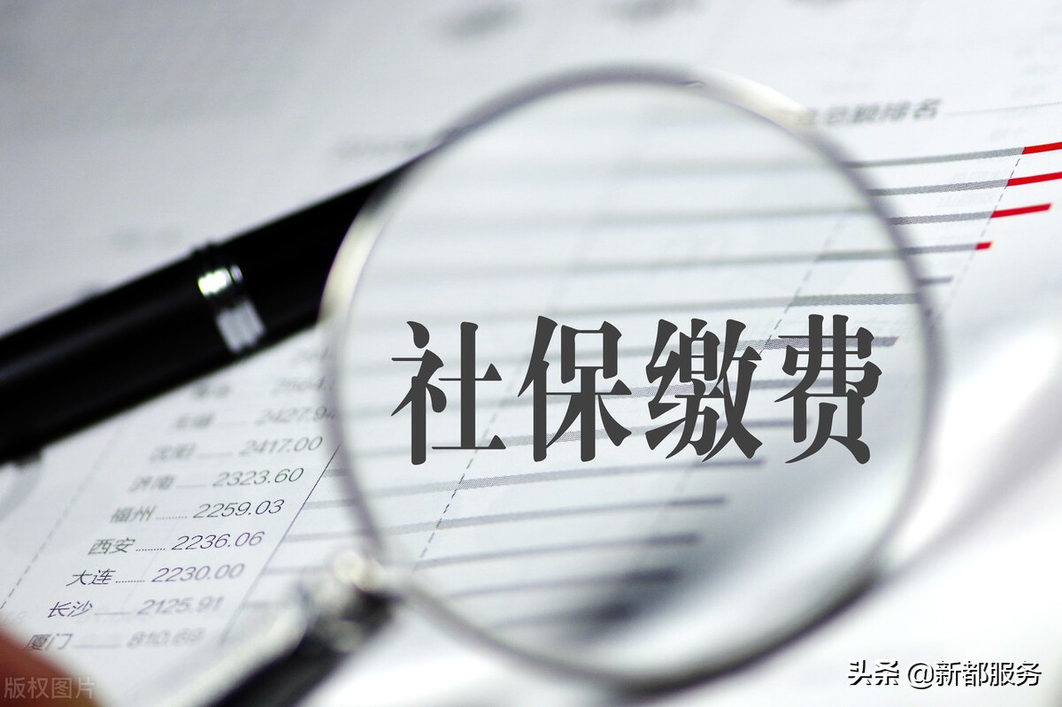 社保费的缴费记录如何查询？