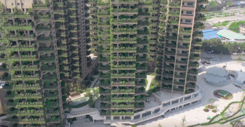株洲第4代住宅绿化超过100%，50平米空中养花种菜，有啥独特之处