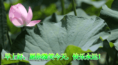 早上好温馨问候祝福语图文精选 平安健康、欢欣喜悦图片