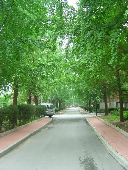 2012年07月08日 回到老地方