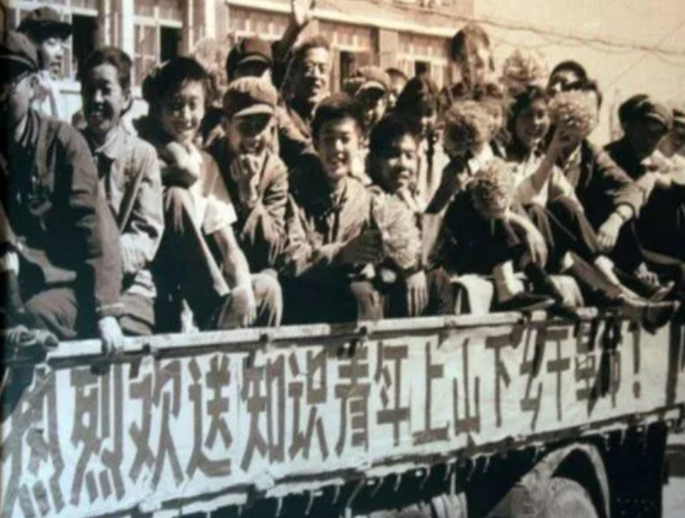 1974年，一个大学生主动退学申请传遍整个中国，周恩来特批同意