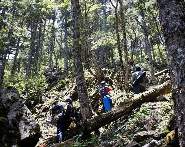 为何神农架深处被列为禁区？除“野人”外，三种神秘现象至今无解