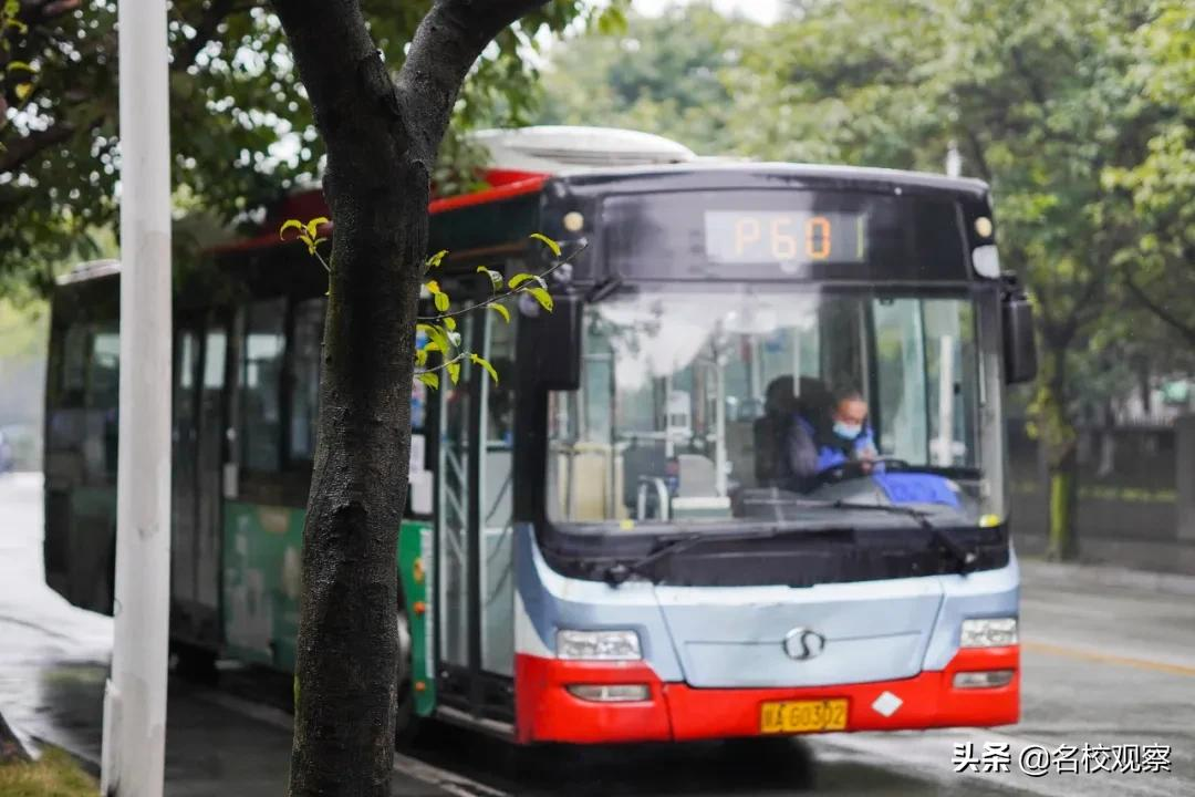 生机勃勃，奋斗不止！开学第一天，西华大学校园，元气满满