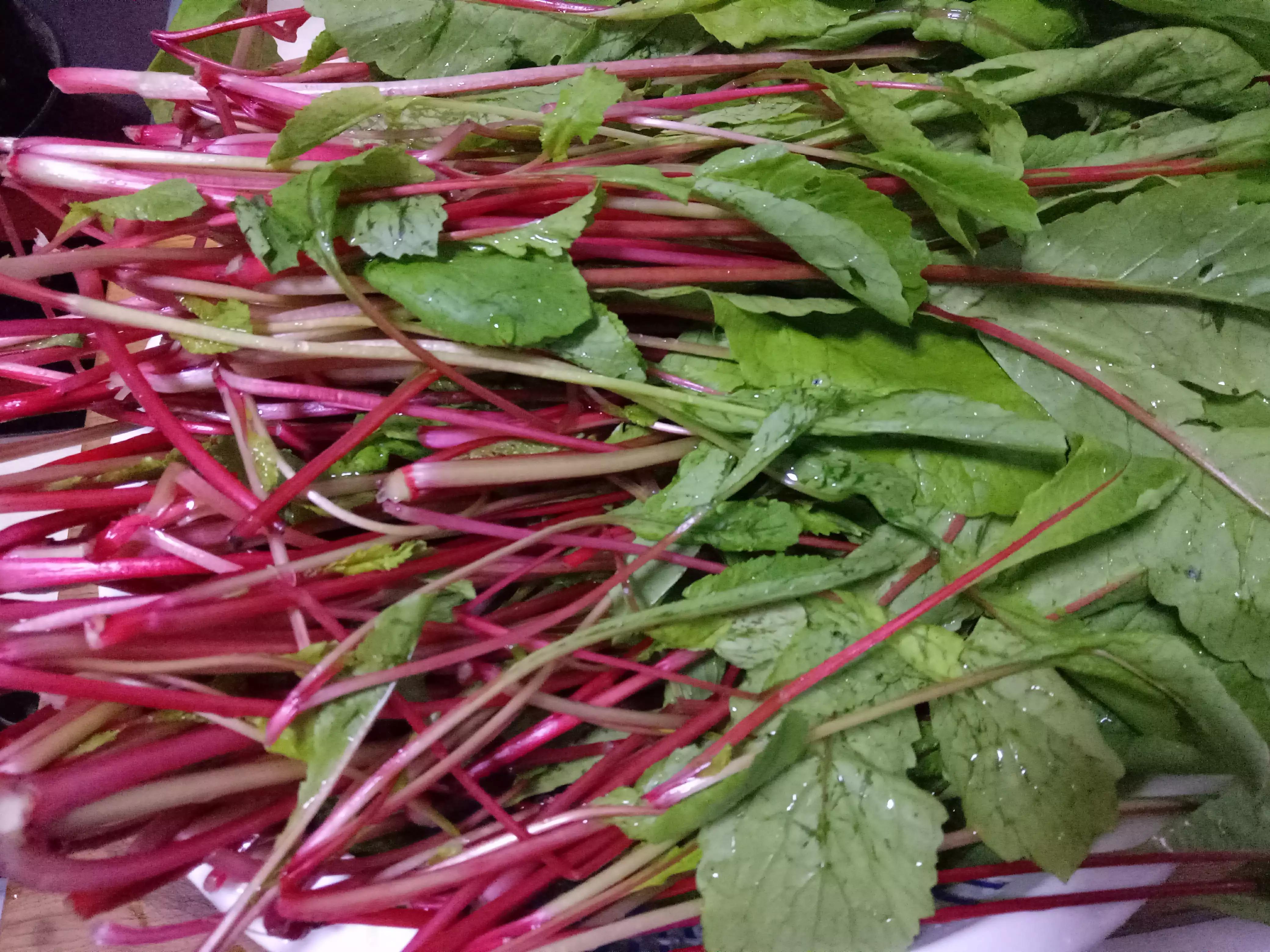 吃的萝卜缨,想的故乡味