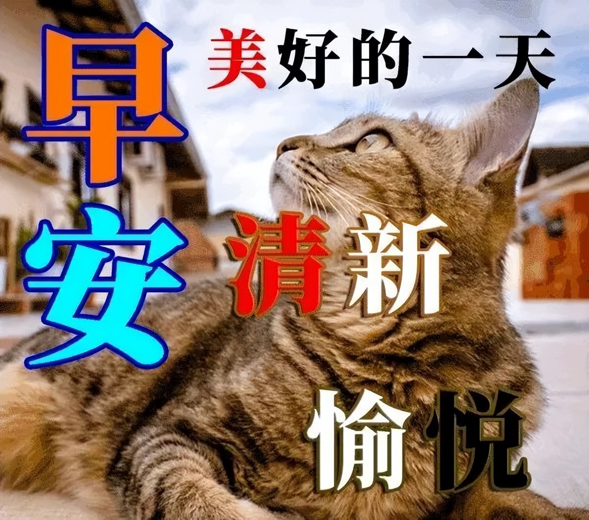 微信早上好图片表情祝福 星期六新版早安问候语励志正能量句子图片