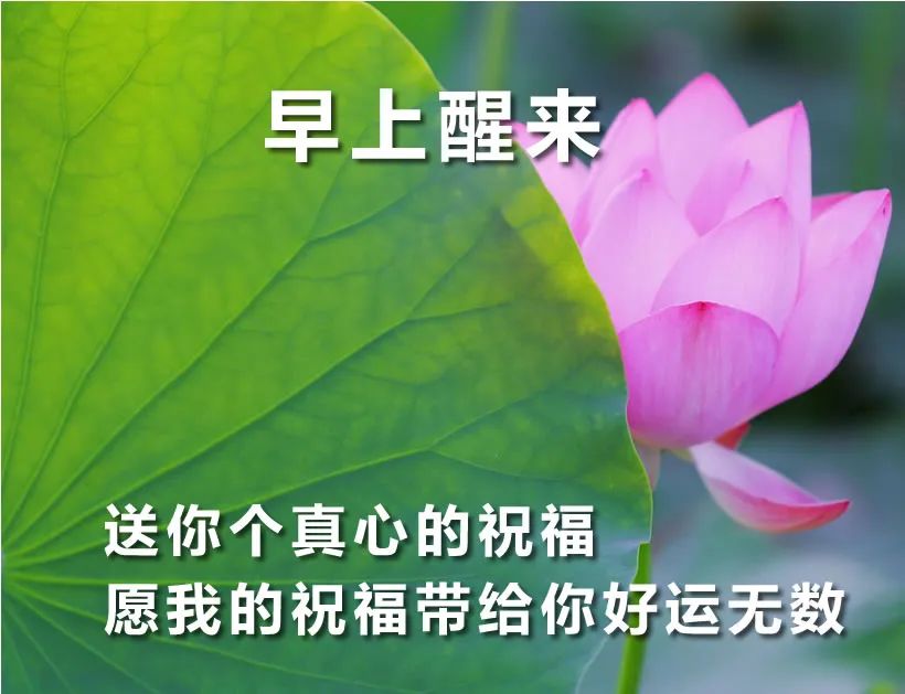 最新早上好祝福动态表情图片大全，秋天早上好问候语句子图片