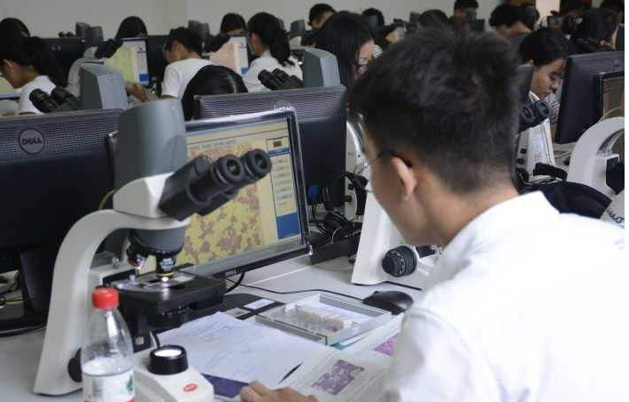 “医学专业”前景排名出炉，临床医学无缘前三，榜首热度居高不下