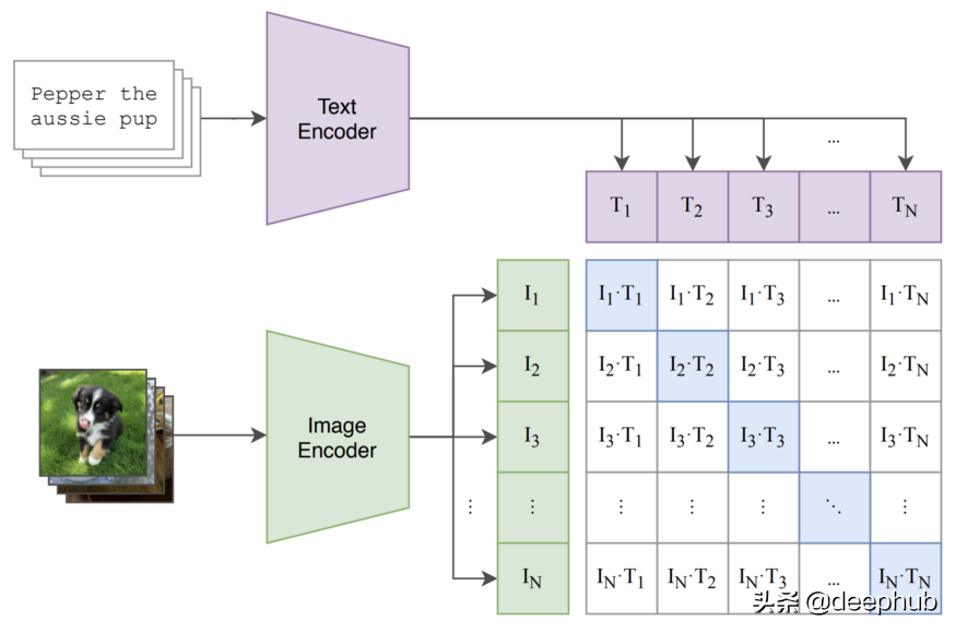 使用 CLIP 对没有标记的图像进行零样本无监督分类
