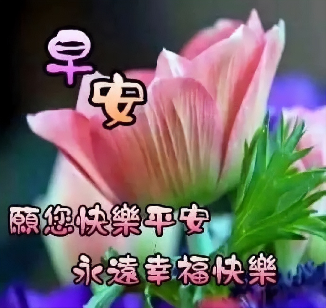 最新创意夏日早上好图片带字 愿你欢欣喜悦、事事都美好图片