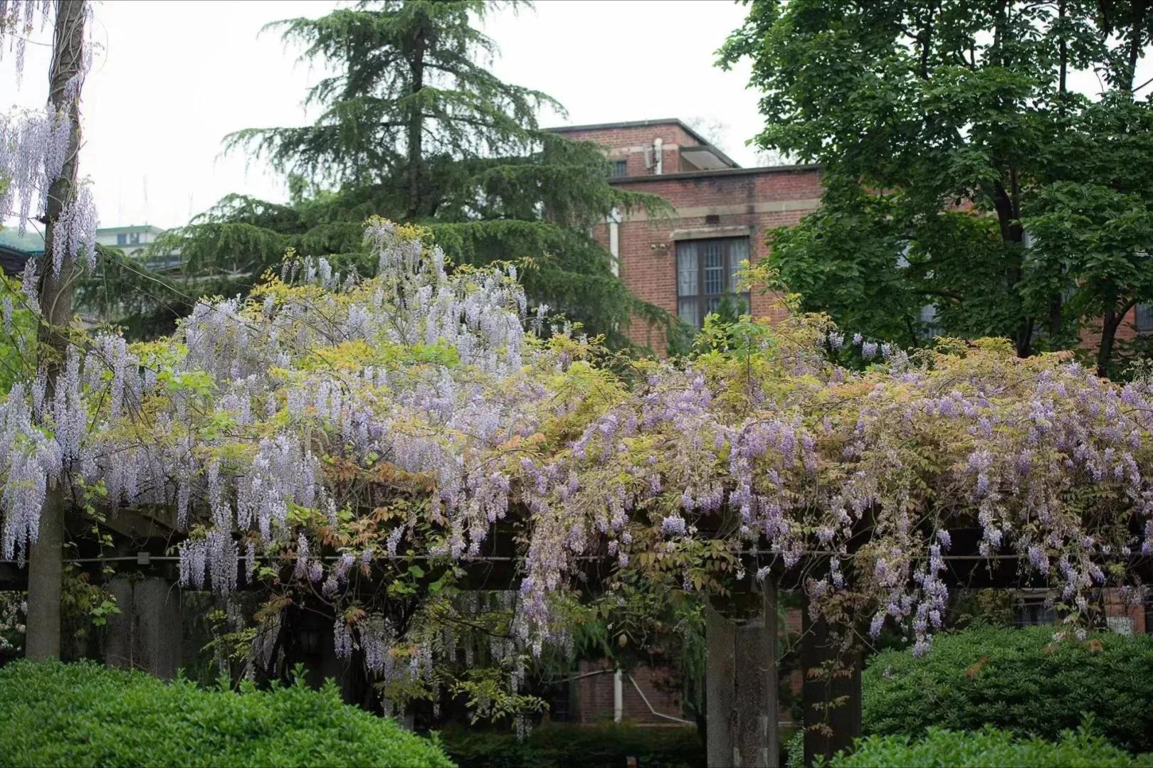 湖南大学播音与主持艺术、广播电视编导专业录取情况如何？