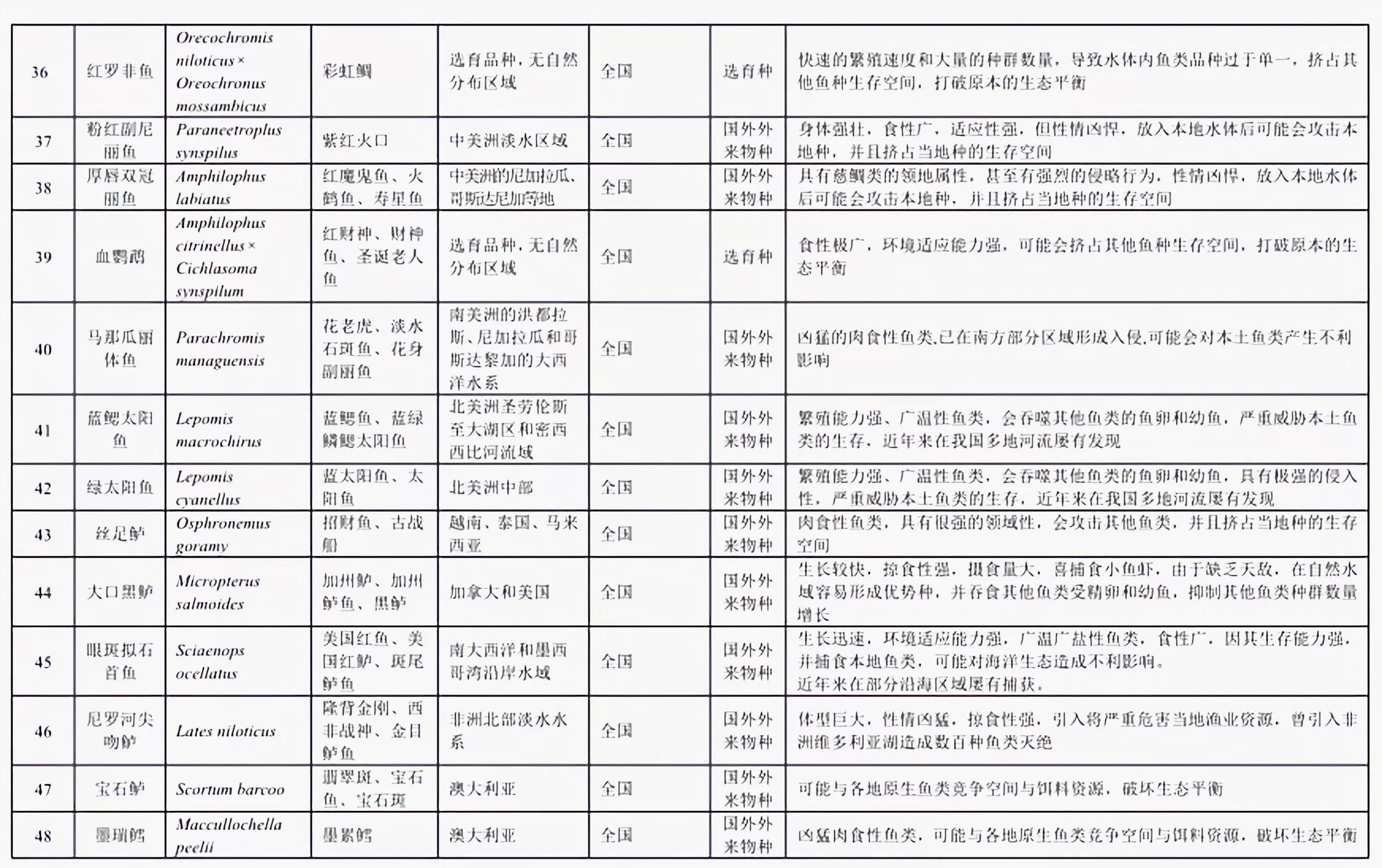 铁背鱼长什么样，95种禁放水生物图片介绍