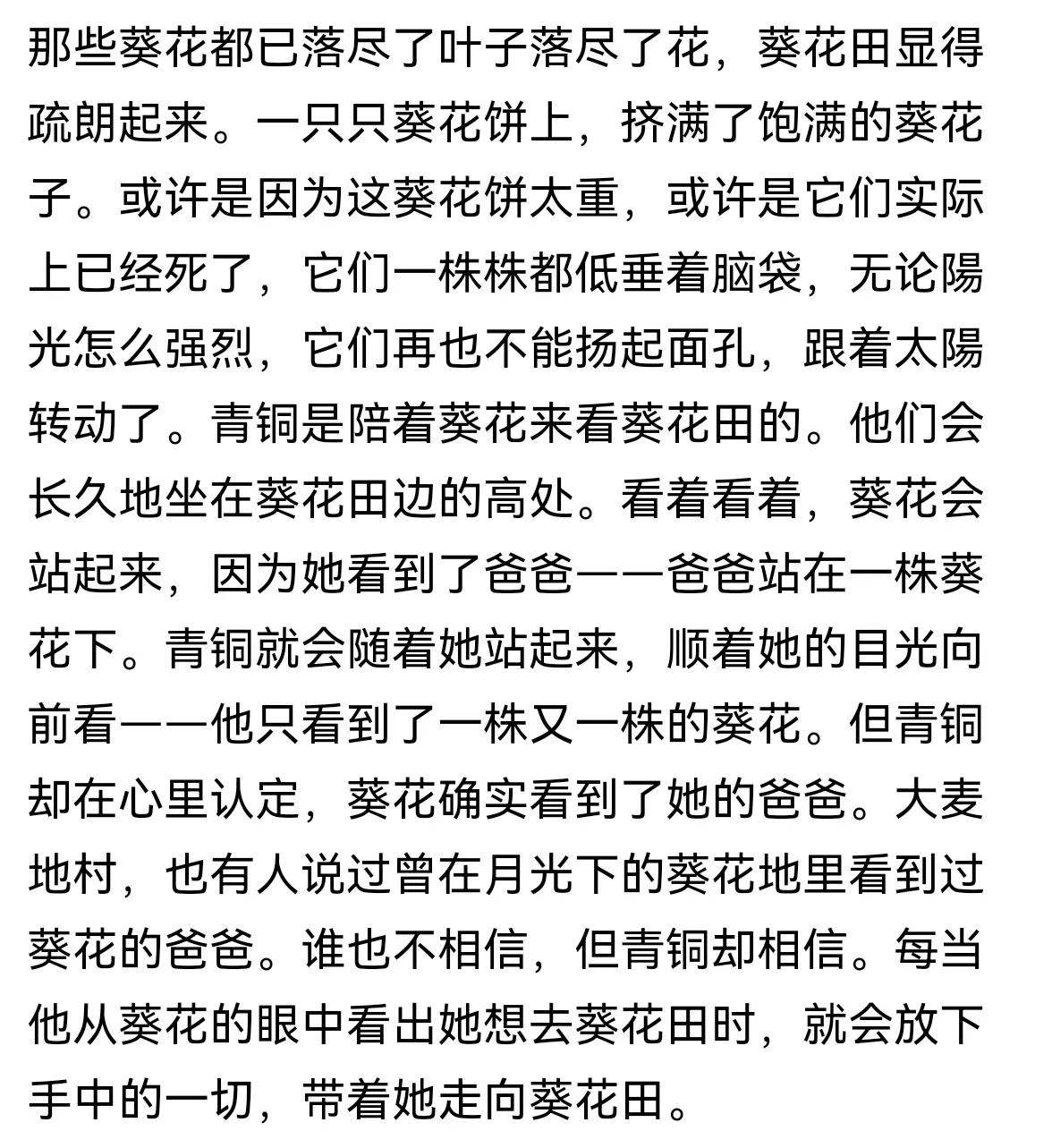 青铜葵花读后感（800字）