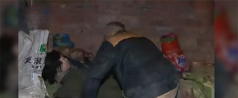 1987年绵阳女大学生被拐卖，四川光棍花120买下，两人住猪圈17年