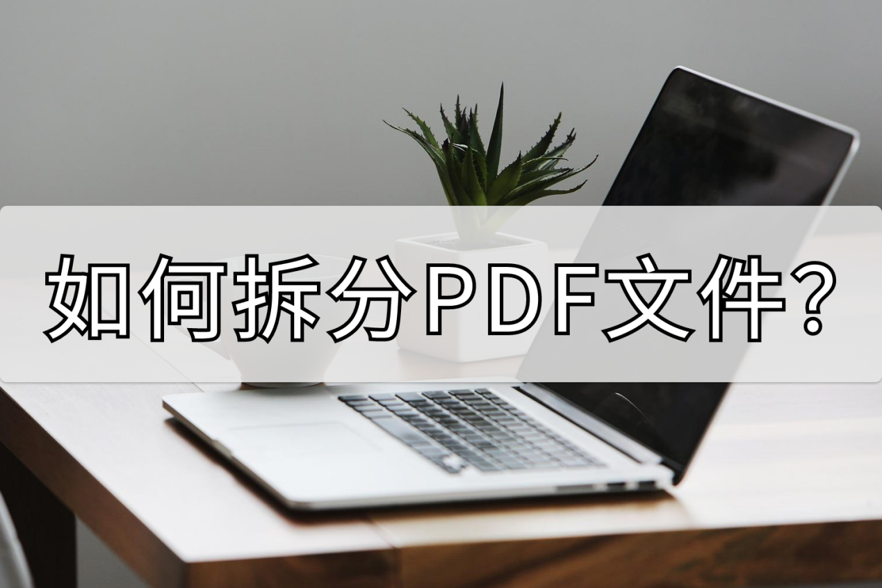 如何拆分PDF文件？分享两个小技巧