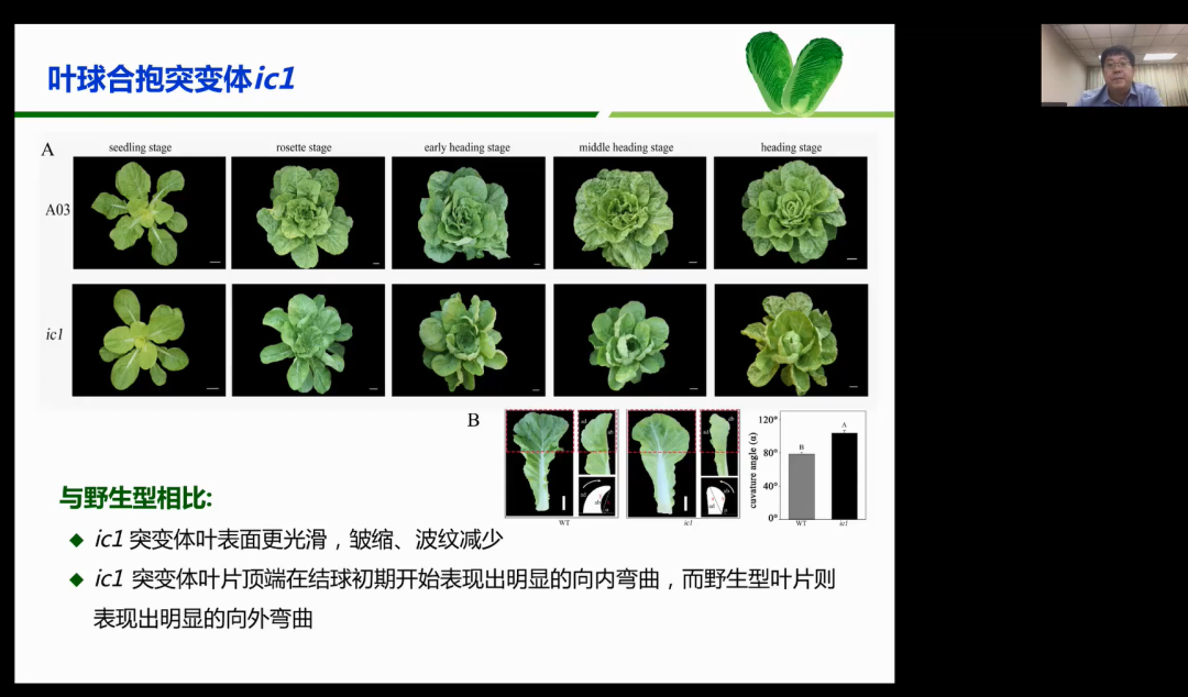 园艺科学前沿与产业发展名家论坛在我校成功举办