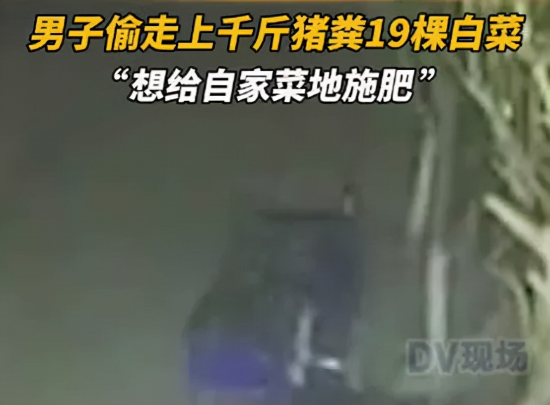 餐厅摆1400万现金，玻璃都是防弹的？真相曝光【三分钟法治新闻全知道】