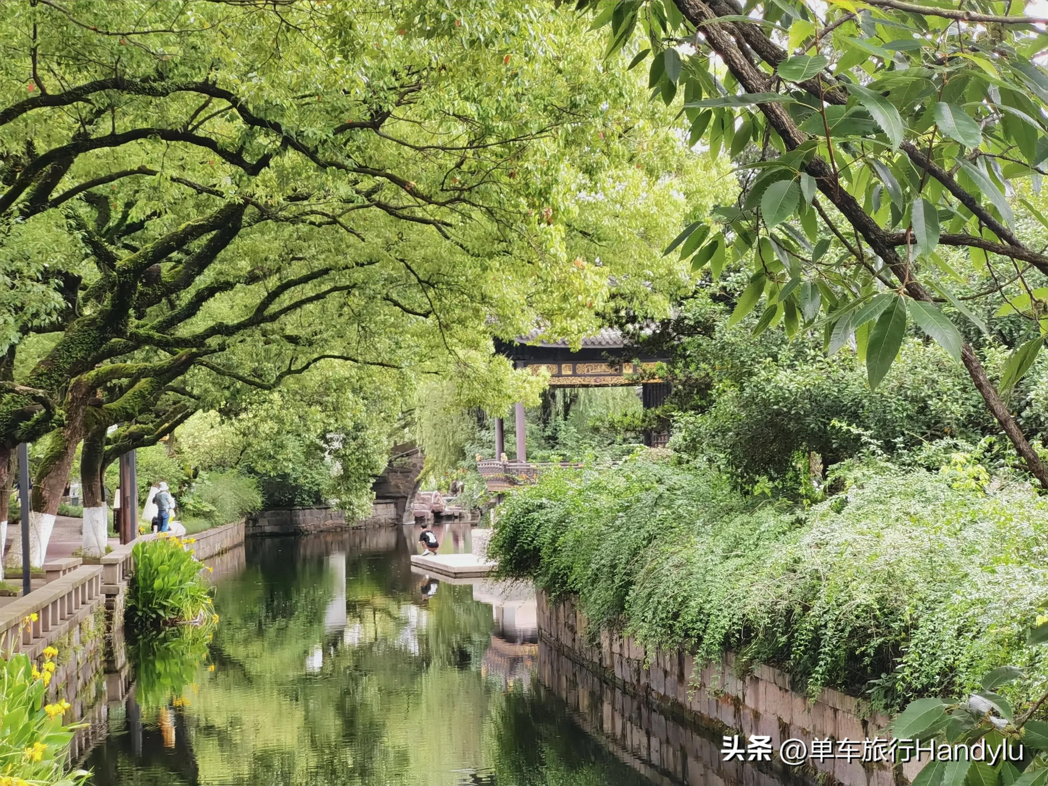 宁波最低调的5A景点，月湖公园