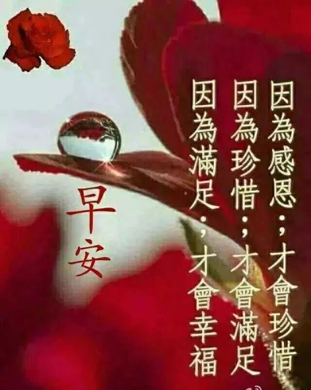 周日早上好祝福语图片 早上好问候句子 早上好天天都有好心情图片