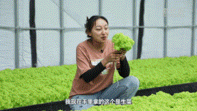 新华全媒+｜“Z世代”的种植达人是怎样炼成的？