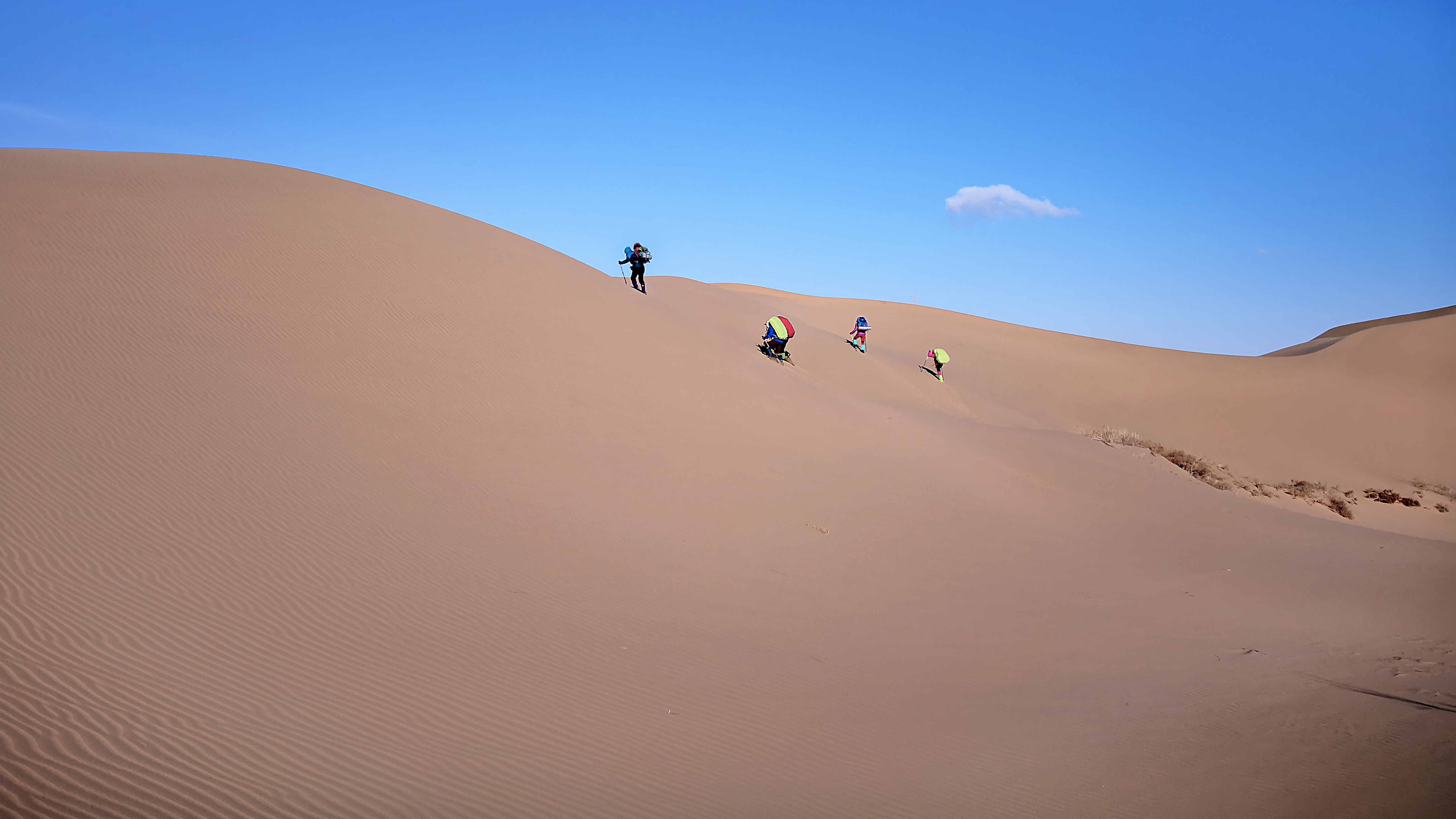 穿越库布齐沙漠(古风新韵配图)