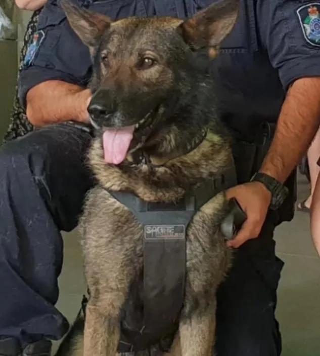 拍得太真实了！这10部“警匪剧”一部比一部好看，天花板般的存在