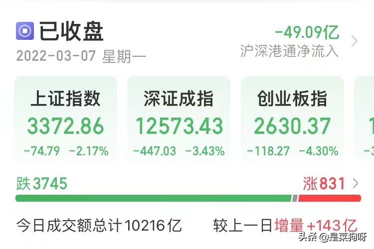 一片绿油油，今日两市超3700股下跌