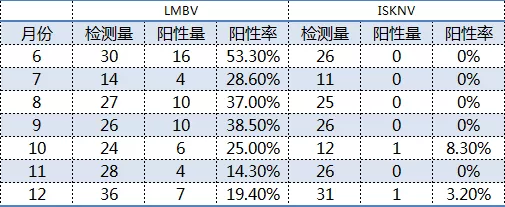 加州鲈投苗注意这几种病毒！一线渔医总结2021下半年病毒检测情况