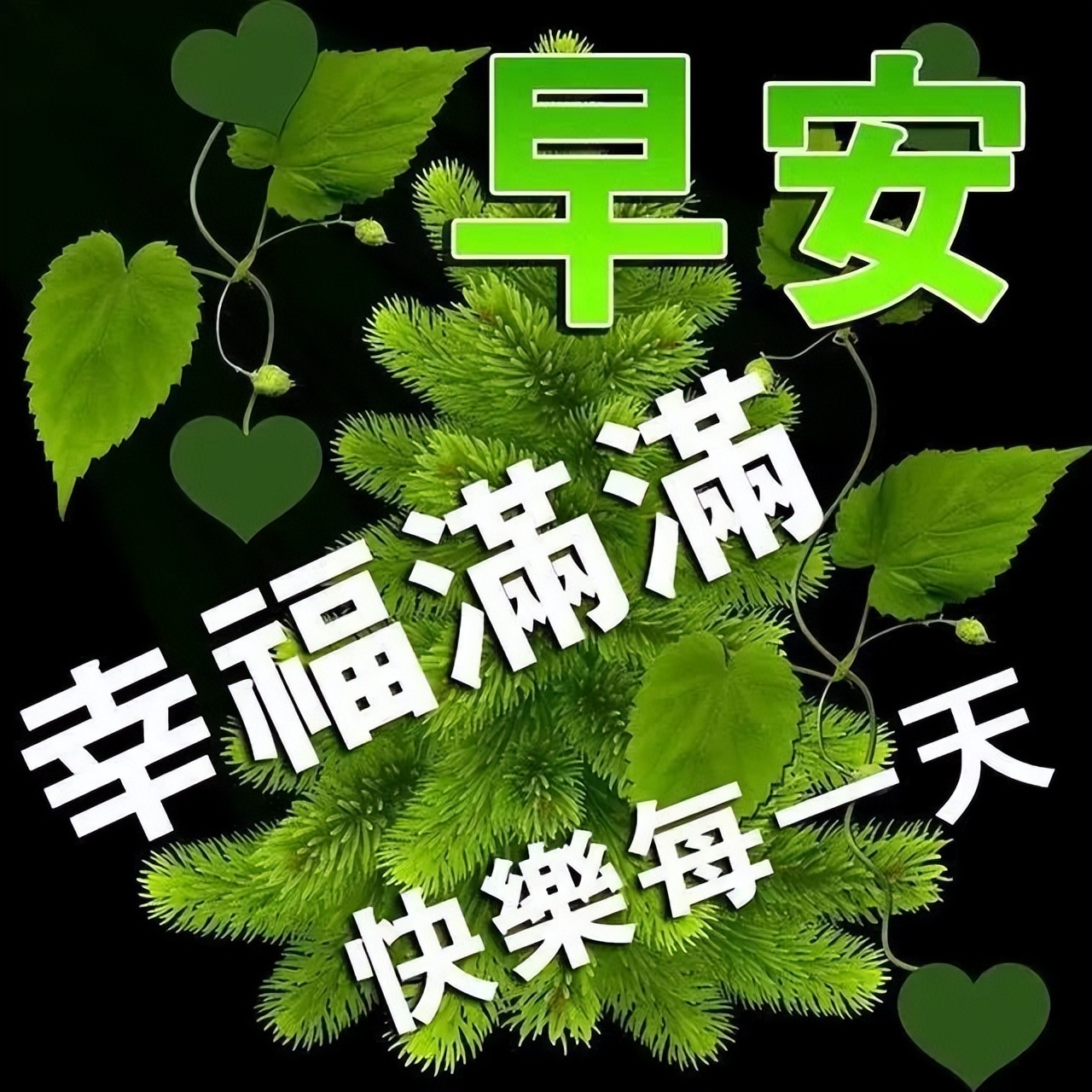 朋友圈星期四早上好问候语句子 微笑征服一切图片