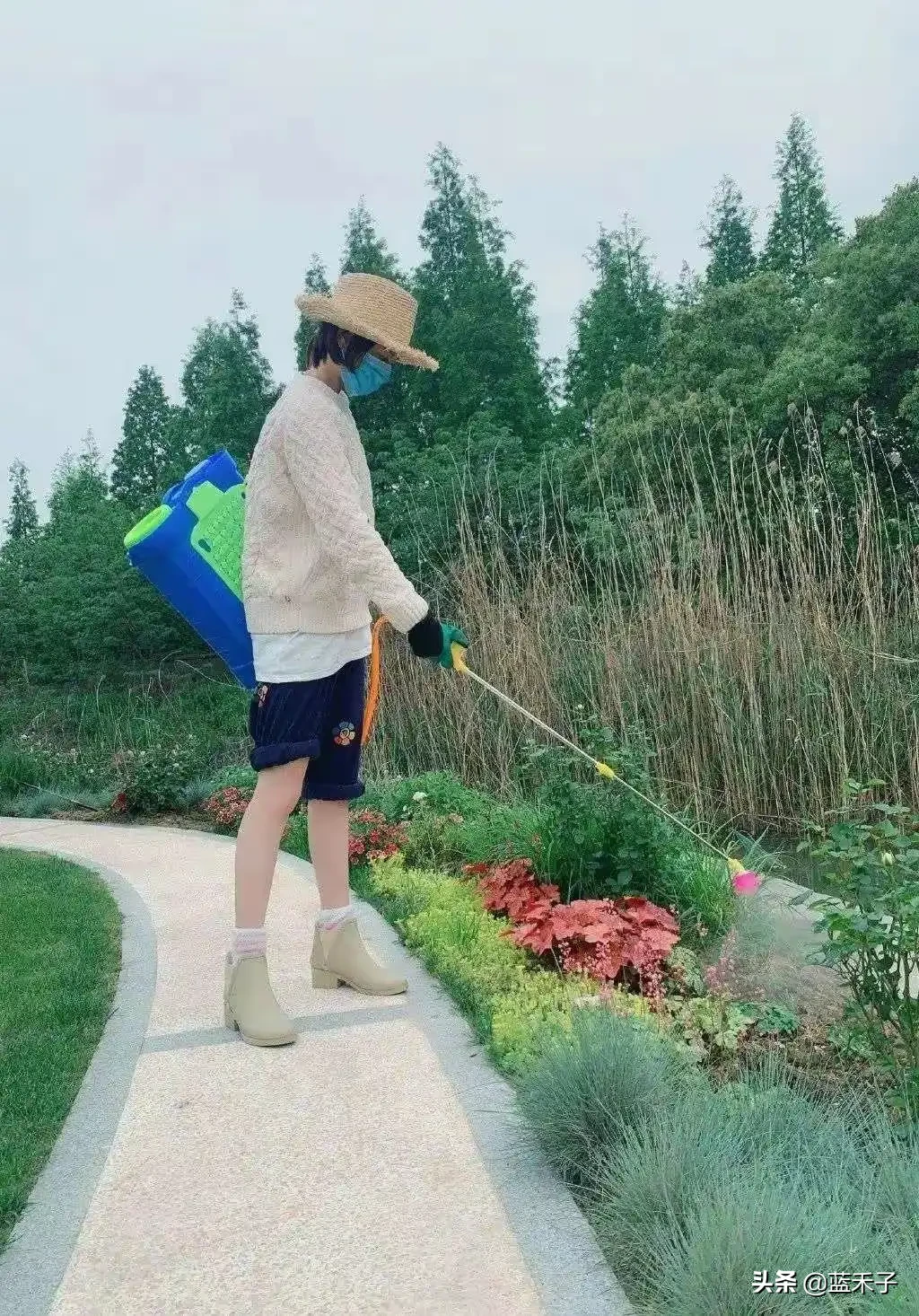 斗蜈蚣！前些天晒被子，翻来覆去晒完暖洋洋，随意拍打了几下一卷就抱进屋放床上