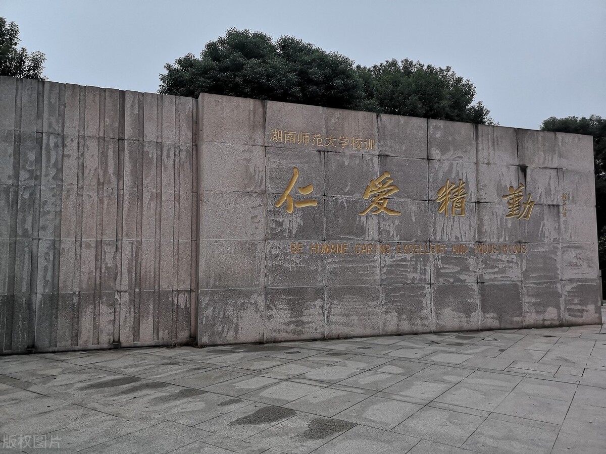 理工类专业中的文科强校，这些师范大学实力不俗，两所985是代表