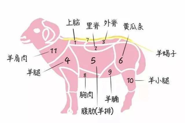 羊身上最好吃的4个部位，便宜却没人买，营养价值极高，别不懂吃
