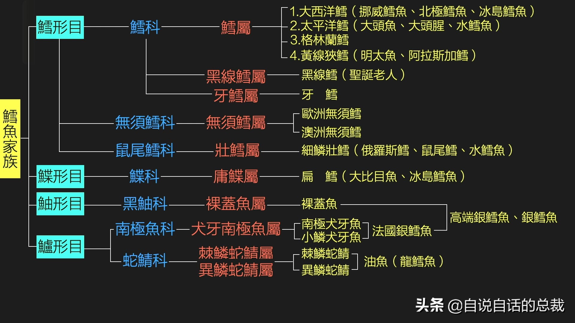 为什么买到的鳕鱼都是假的？这背后，原来是它曾经改变世界的故事