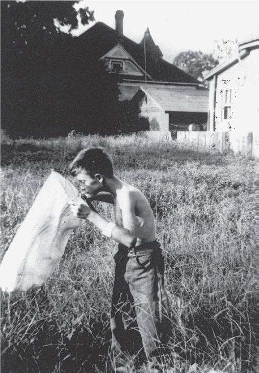 达尔文之后最伟大博物学家，爱德华·威尔逊遗作：与蚂蚁相伴80多年的故事