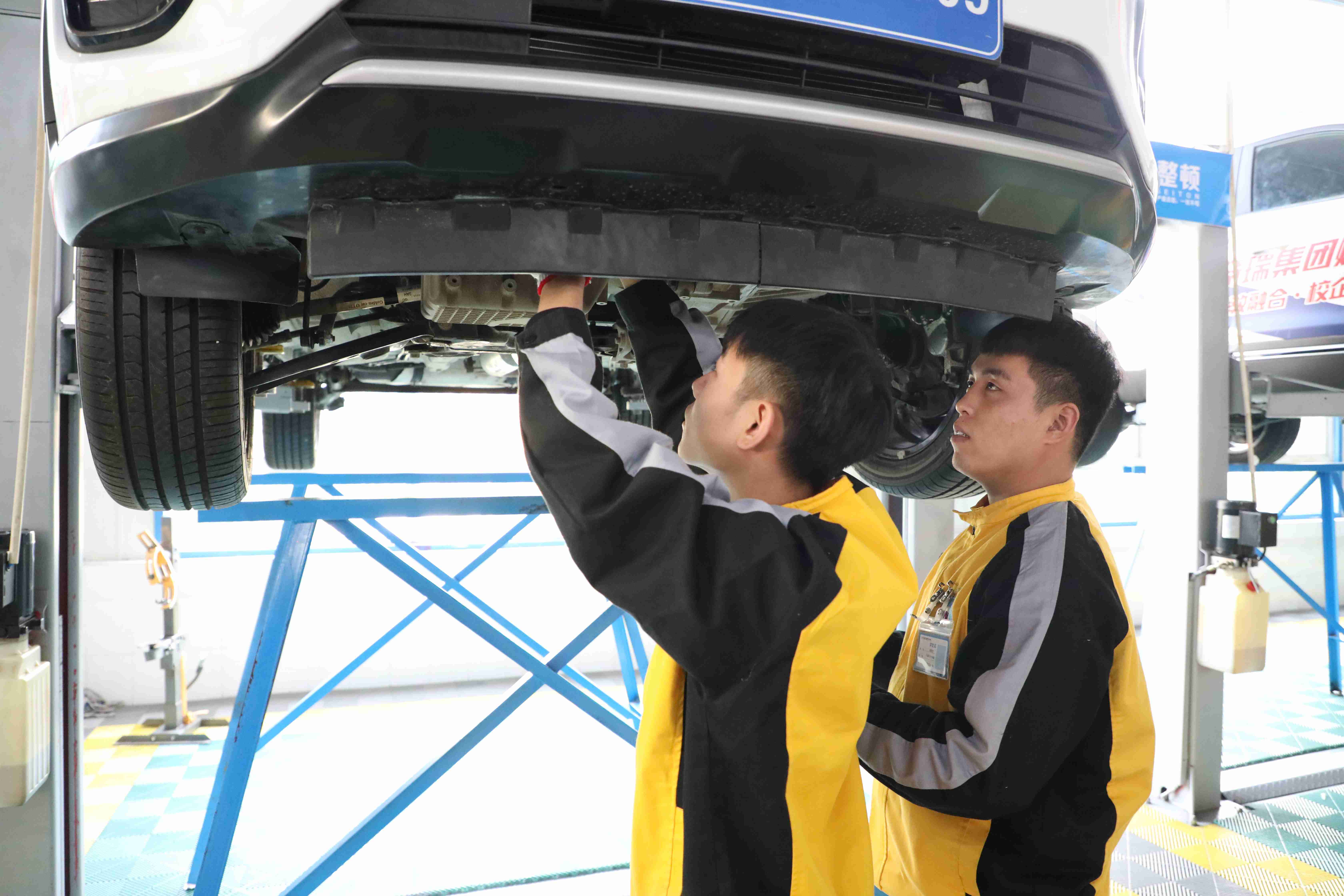 官方发布！职业本科与普通本科学位证书具有同样效力