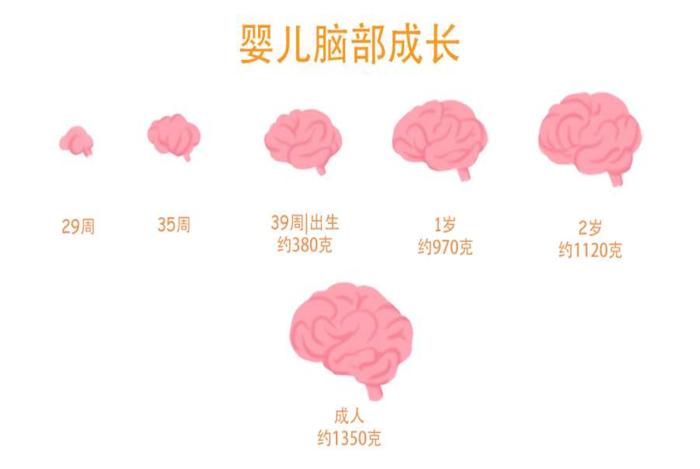 美国儿科协会：孩子一生有两次“变聪明”机会，抓住一次就有效果